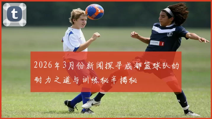 2026年3月份新闻探寻成都篮球队的耐力之道与训练秘辛揭秘